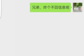 三亚为什么选择专业追讨公司来处理您的债务纠纷？